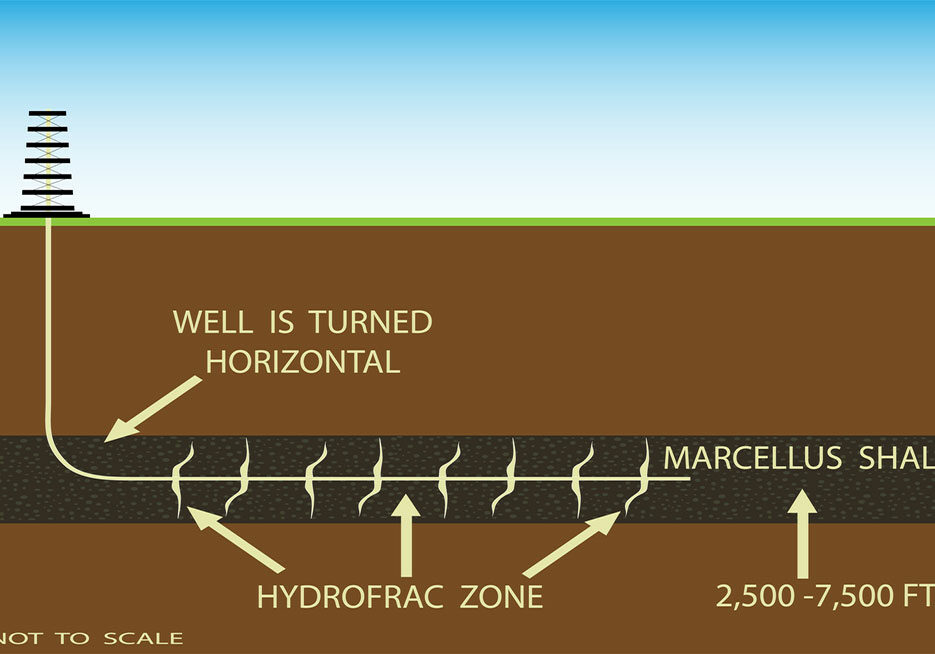 shale shale